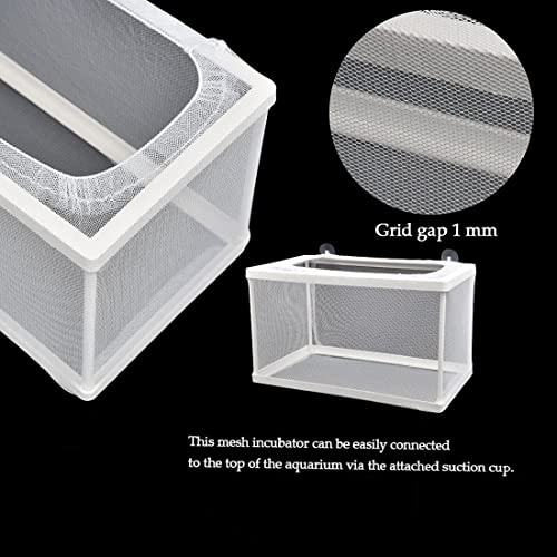 Trinidad Aquarium Fish Breeding Box,Fish Hatchery Isolation Box Large Fish Net Breeder Breeding Container Fish Nursery For Aquarium With Suction Cup Fishing Nets For Tropical Guppy Fish Floating Fish #TOP3