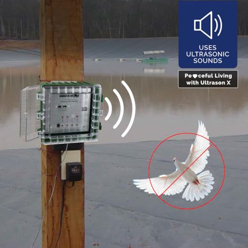 Ultrason X, 110v