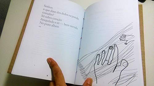 Saindo da Piscina de Éter, Poemas Ilustrados