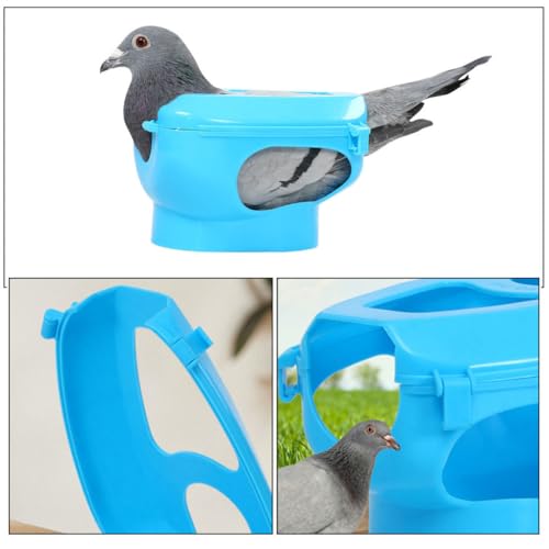 Support fixe pour pigeons et oiseaux contention sûre pour soin