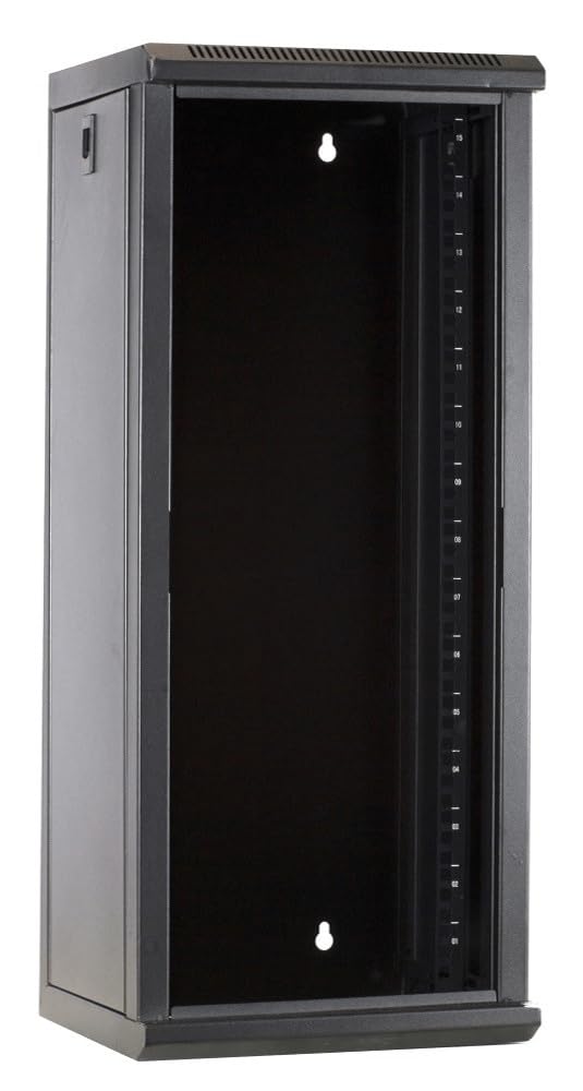 Baie de Serveur de 10 Pouces 15U avec Porte en Verre 312x310x752mm (LXPXH) - Noir - Verrouillable - pour la Maison et Le Bureau - Construction Robuste