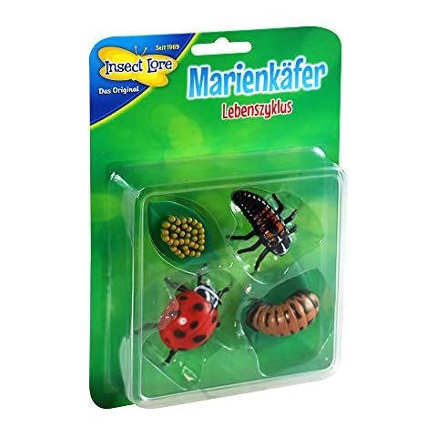 HCM Kinzel Insect Lore-Mariquita de plástico Cover