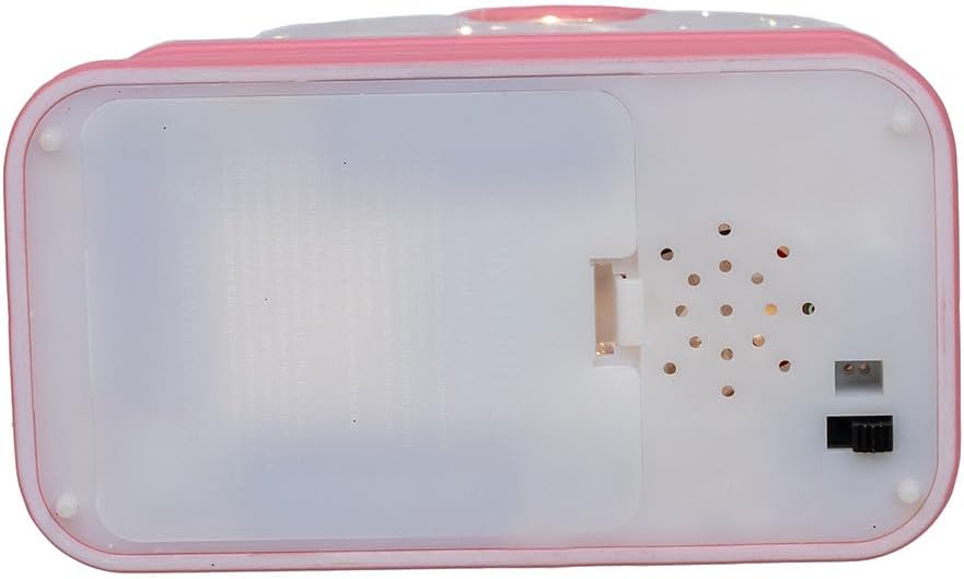 Kurt Adler 9.75" Battery Operated USB LED Lighted Flamingo Riding Motorcycle Water Lantern.