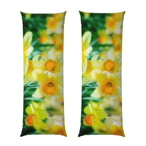 Taie d'oreiller rectangulaire 50x137 cm imprimé fleurs de jonquille