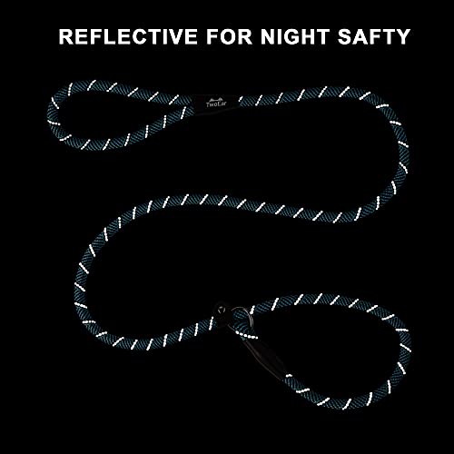 Twoear Slip Lead Dog Leash - 1/2" X 6Ft Reflective Durable Dog Training Leash - Heavy Duty Strong Dog Rope Leash Slip Leash For Medium And Large Dogs Blue #TOP2
