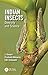 Produktbild Indian Insects: Diversity and Science