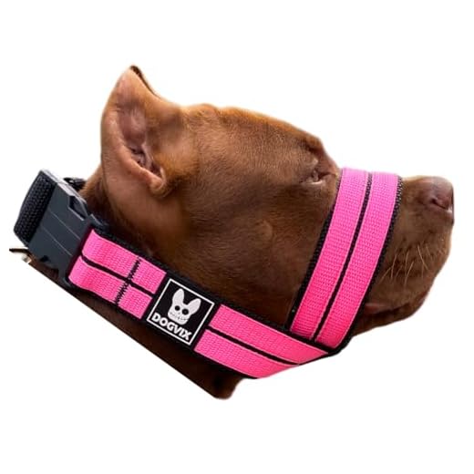 Focinheira Pet Para Cães De Porte Medio Grande Fácil De Usar Confortável Segura (P)