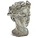 Abbott Collection Goddess Head Planter – Extra Small Cement Indoor and Outdoor Planter Pot – Grecian Woman Statue Head Planter for Flowers and Succulents (Grey, 6.5
