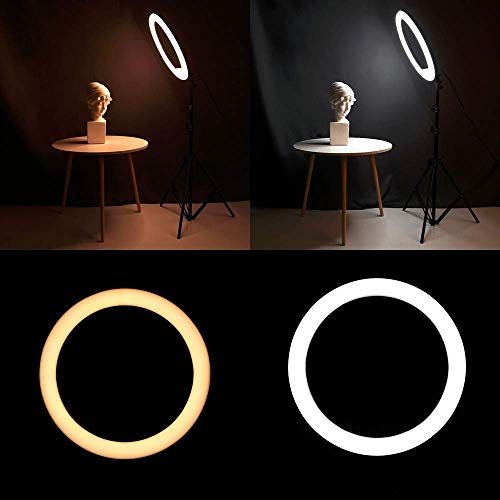 Iluminador Ring Light 26 cm USB com tripé 2.10 metros + Suporte Celular CBRN14606
