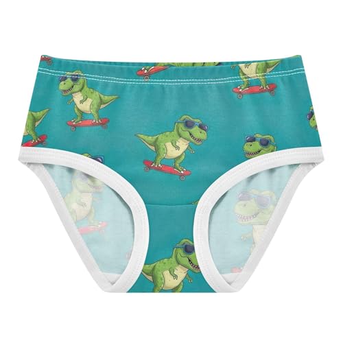 Funny Toddler Underwear Floral 2t Cotton Girl Panties Cute Cartoon Green Dinosaurs Skateboards Blue Briefs Undies Kids