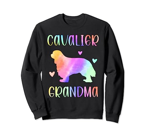 Cavalier Nonna Cavie Nana Arcobaleno Acquerello Felpa