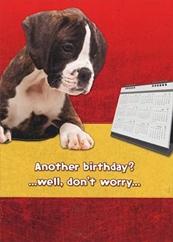 Designer Greetings Don't Worry : Boxer Looking at Calendar Funny : Humorous Dog Birthday Card