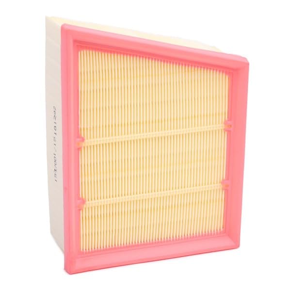 RIDEX 8A0918 Filtro Aria Motore A Cartuccia Per Ford Fiesta, Transit, Ecosport, Puma (215x161x70 Mm)