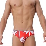 UXH Swimwear Men Sexy Swim Briefs Fashion Low Watist Swimsuits Swim Briefs Bikini Board Surf Shorts Trunk (US, Alpha, X-Large, Regular, Regular, Red)
