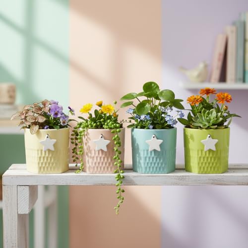Image of Xtore Playful Textured Ceramic Planter Set of 4 with Star Accent | Colorful Indoor Pots for Desk, Kids Room & Shelf Decor (Pack of 4, Planter only)