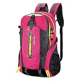 2 ★★★ Correa ajustable 100% nueva y de alta calidad. Bueno para la mayoría de las actividades / deportes al aire libre, como correr, caminar, correr, andar en bicicleta, viajar, gimnasio. Mantiene sus pertenencias seguras para evitar carteristas.