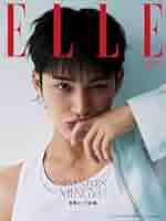 かみちゃんさま専用 エルジャポン 71RgO9f+yLL._AC_UL210_SR210,