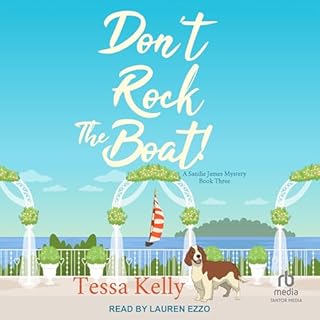 Don't Rock the Boat! Audiolibro Por Tessa Kelly arte de portada
