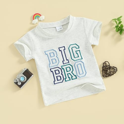 Dcohmch Big Brother Little Sister Matching Outfits Letter Embroidery Shirt Tops Summer Baby Boy Girl Clothes3