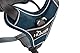 HUNTER DIVO Hundegeschirr, S, 45-56 cm, dunkelblau/grau