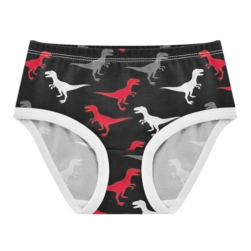 Toddlers Underwear Floral 2t Cotton Panties for Girl Animal Briefs Undies Kids Red Gray Dinosaur Black