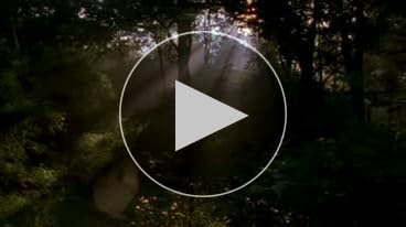 Amazon.com: The BBC High Definition Natural History