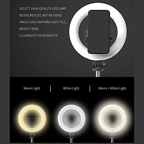 Trípode para selfie SCRUBY para grabar vlogs de viaje con luz LED 5