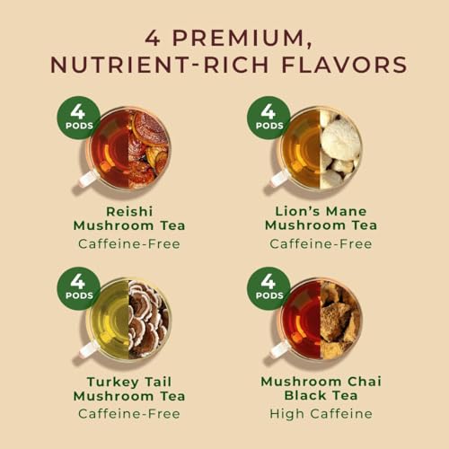 Image of Gya Tea Co Mushroom Medly Tea Pod Collection Gift Set (16 Count) - Different Flavors Assorted Variety Pack