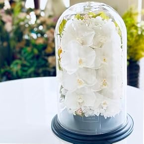 Amazon.co.jp: 記念プレート - コレクターズアイテム: ホーム