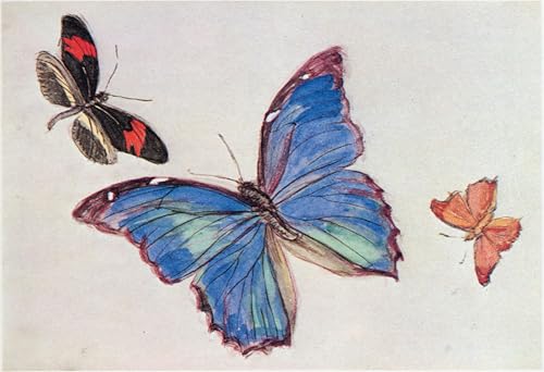 Tableau de Fujishima Takeji Deuil des papillons 60x90cm pour mur de chambre