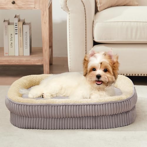 DEBANG HOME Panier pour Chien,Lit orthopédique pour Chiots et Petits Chiens, canapé pour Chien en Mousse Haute densité, Housse Amovible et Lavable et Fond...