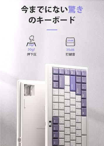 NiZ キーボード 【L84】超薄型静電容量無接点 ワイヤレスキーボード 英語配列 PBT昇華印刷キーキャップ搭載 Win/Mac両対応 専用ソフトウェア キー荷重30g Bluetooth/2.4G/有線 薄紫99キー Windows/macOS/Android/Linuxに対応