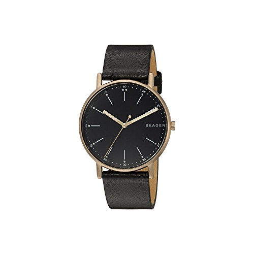 XJ[Q SKAGEN VOl`[ SIGNATUR NI[c Y rv SKW6401 ubN [sAi]
