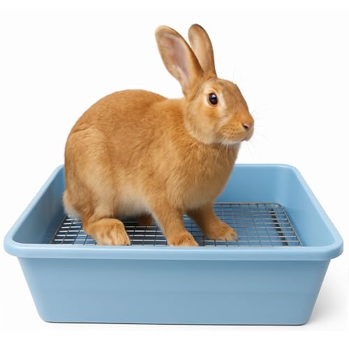 Oncpcare Extra große Kaninchentoilette mit Metallgitter, leicht zu reinigen, XL-Jumbo-Hasentrainer, Eck-Toilettenpfanne für erwachsene Kaninchen, flämische Riesenkaninchen (48,3 x 35,6 x 12,7 cm, blau Oncpcare Extra große Kaninchentoilette mit Metallgitter, leicht zu reinigen, XL-Jumbo-Hasentrainer, Eck-Toilettenpfanne für erwachsene Kaninchen, flämische Riesenkaninchen (48,3 x 35,6 x 12,7 cm, blau