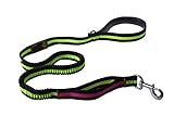 Laifug Bungee Dog Leash(50-Inch,Black Green)