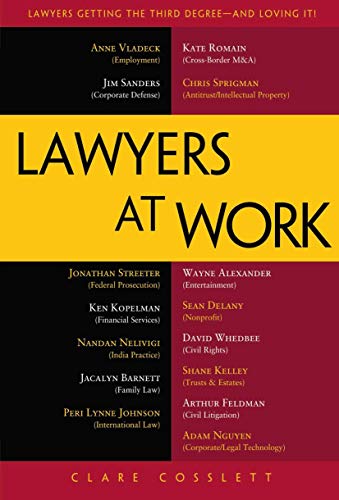 Lawyers at Work view 2