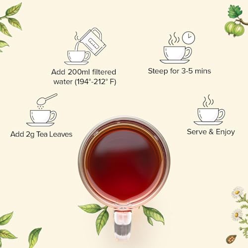 VAHDAM, Assorted Loose Leaf Chai Tea Sampler (10 Flavors, 50+ Servings) | Indian Exotic Masala Chai Tea Blends | Resealable Ziplock Pouch | Vacuum Sealed For Freshness