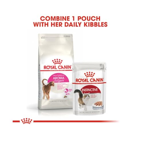 ROYAL CANIN Aroma Exigent | 4er Pack | 4 x 400 g | Alleinfuttermittel für besonders wählerische Katzen | Ab dem 12. Monat | Kann dabei helfen die Harnwegsfunktion zu unterstützen