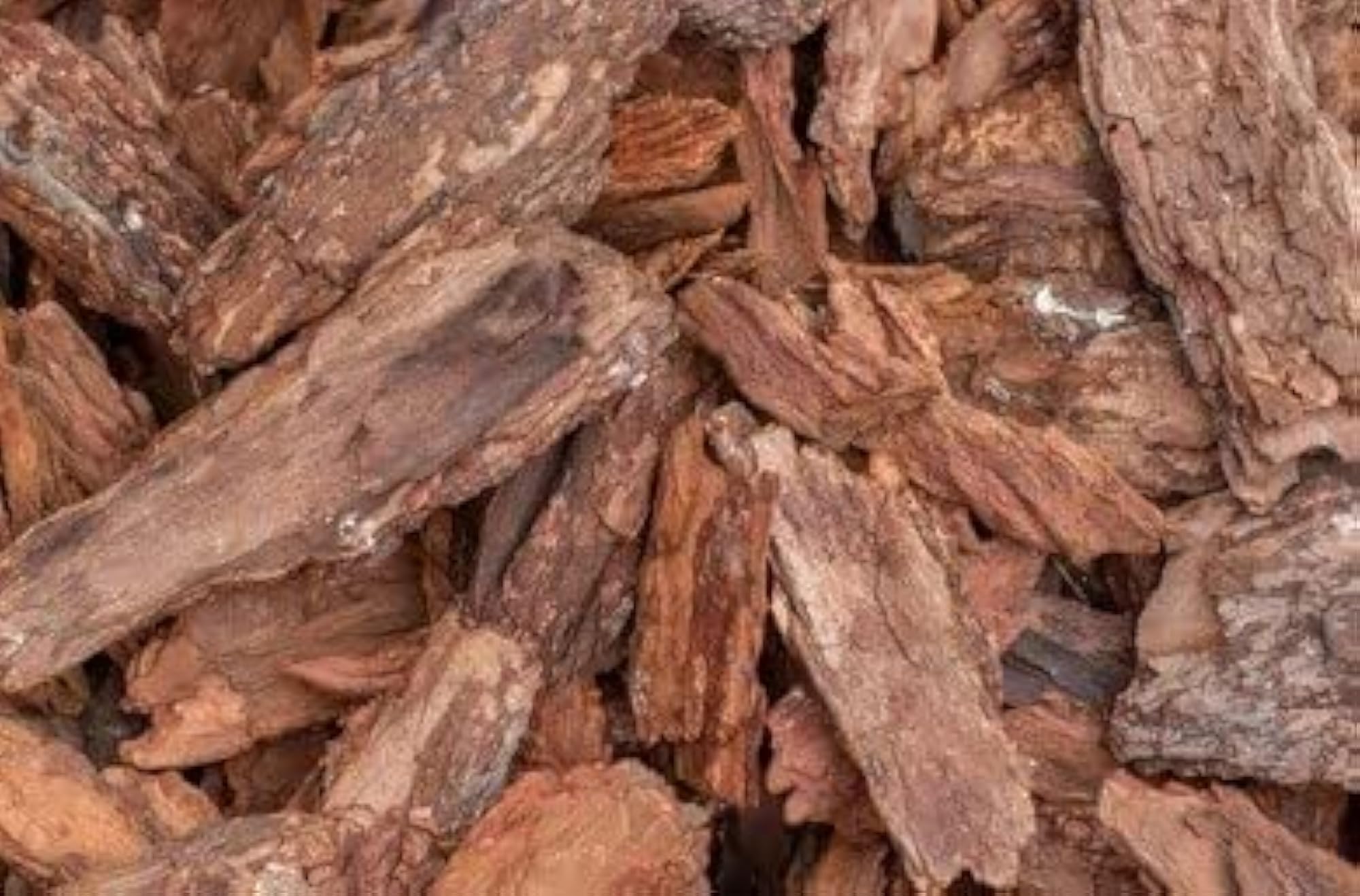 3V PRODUCTS Jamun Bark Powder, 300 Grams