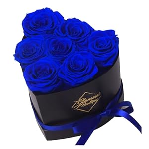 GLAMOUR BOUTIQUE Preserved Roses Gi...