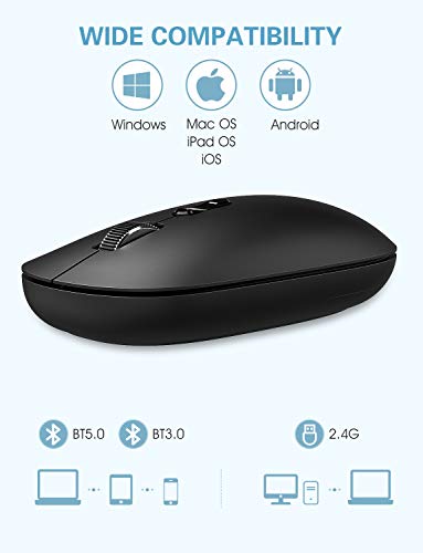 https://m.media-amazon.com/images/I/413pcHiVIeL._SL500_.jpg