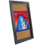 Engine Air Filter for Chevrolet City Express 20152018, for Infiniti Q50 20142018, for Nissan Cube