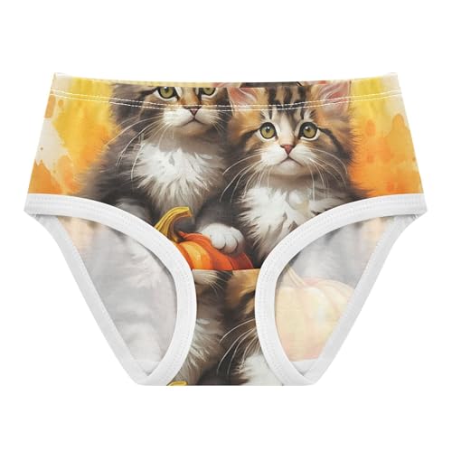 Cotton Girls Underwear Toddlers Tabby Kittens Cute Little Girl Panties Print Briefs Girls Undies 2t