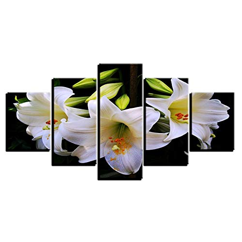 HNSYZS 5 Teilig Leinwand Bild Fotodrucke Cover
