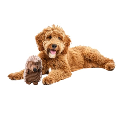 Ethical Pets Jouet chien peluche hérisson velours côtelé 8 po