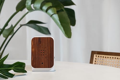 Image of RELAXOUND Original Junglebox Teak Style - Modern Nature Sound Box - Relaxing Exotic Jungle Sounds - Motion Sensor with Sound - Relaxing Tool