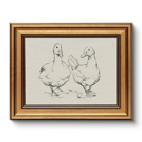 Vintage Black and White Ducks Sketch Framed Canvas Wall Art,12x16 Inch by WHASAYART - Used condition - US$14.66