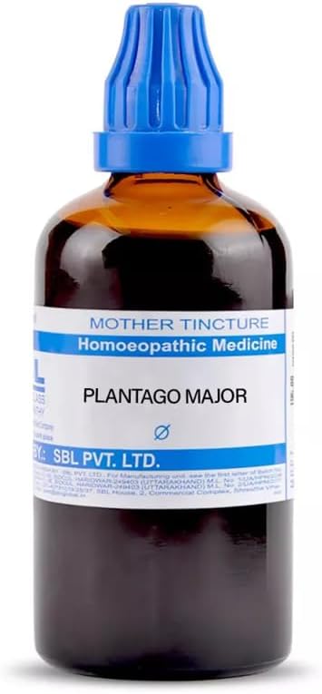 SBL Homeopathic Plantago Major Mother Tincture 1X (Q) (100ml) - by Pharmazenix