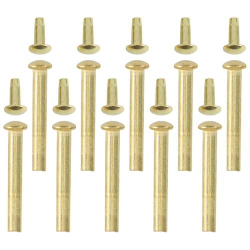 Levemolo Stainless Steel Fan Nails Kit 10 Sets Rivets and Nuts for Hand Fan Repair DIY Projects