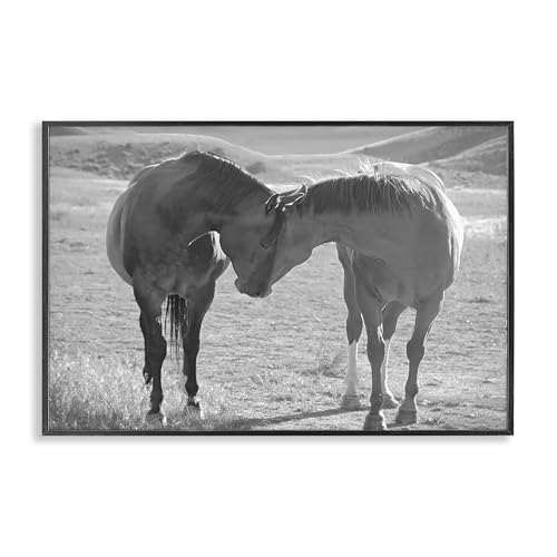 Poster encadré Sweet Nothings tableau complicité chevaux Stupell Industries noir